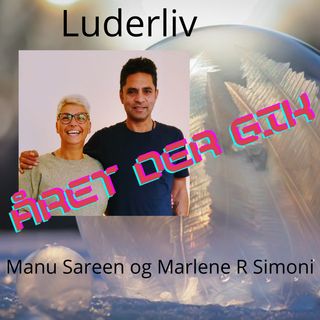 Året der gik Med Manu Sareen