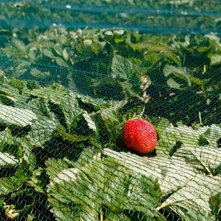 Agricoltura amica della terra: il decalogo