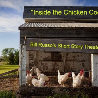 Inside The Chicken Coop Short Story Theater