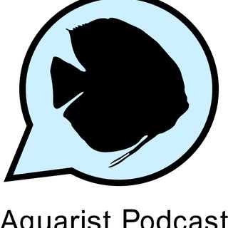 Ep. 39 - Shawn Hale on Fritz Aquatics Product Lineup, Aquarium Decorations, and Aquashella