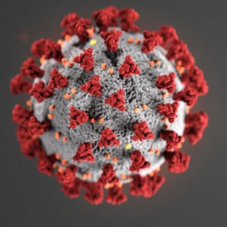 Continúan cinco casos confirmados de coronavirus en México