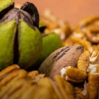 #ANBA 87 – As nuts que o Brasil produz e os árabes querem