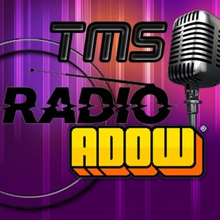 TMS Radio