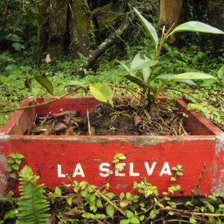 La Selva Eco Lab