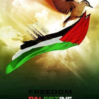 Finkelstein - Discussing Palestine the Gaza Strip