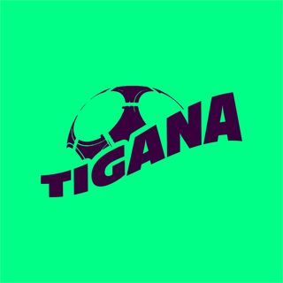 Tigana