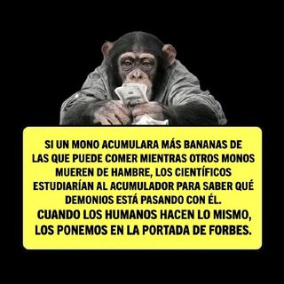 Respondo Preguntas 3🧠🌟