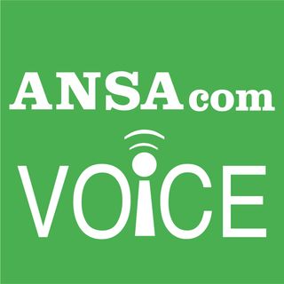 ANSAcom Voice