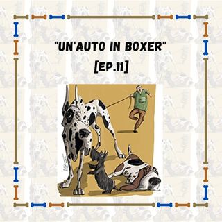 "Un' auto in boxer"  [Ep. 11]
