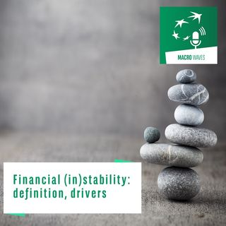 #01 – Financial (in)stability: definition, drivers
