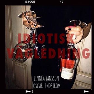 Idiotisk vägledning