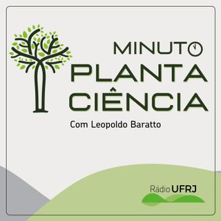Rádio UFRJ - Minuto Planta Ciência