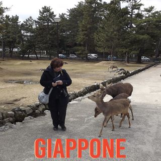 #16  Viaggio in Giappone - Intervista a Claudia Boccini