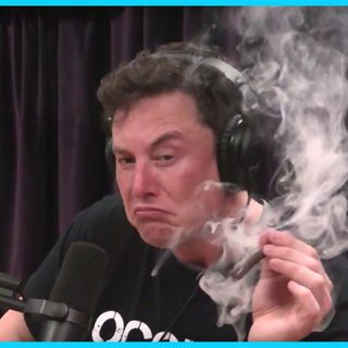 Cállate la boca: Elon Musk y Vicente Fernández