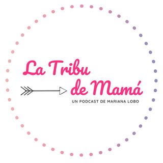 Hoy presentamos: Primer Aniversario