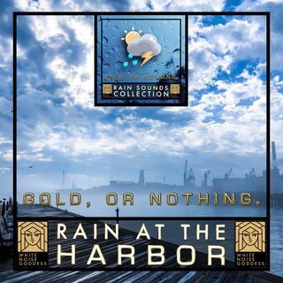 Rain At The Harbor | 1 Hour Rain Ambience | Relax | Meditate | Sleep Instantly