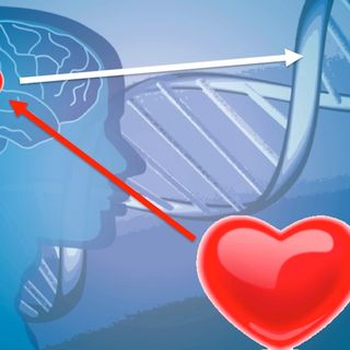 71° puntata - Le emozioni modificano il DNA e il DNA influenza il mondo fisico