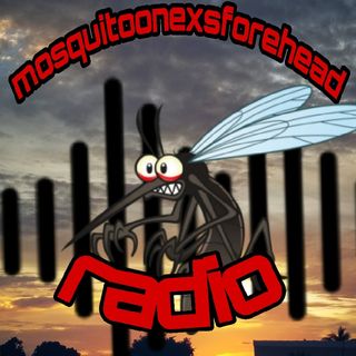 Mosquitoonexsforehead TV And Radio Radio Story