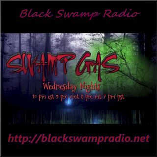 Swamp Gas: Robert Sullivan