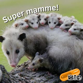 Sacrifici materni! - Super Mamme #2 | Vitamina N