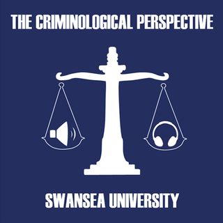 What is the Criminological Perspective?