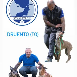 DogHouse - Centro Cinofilo EP 4