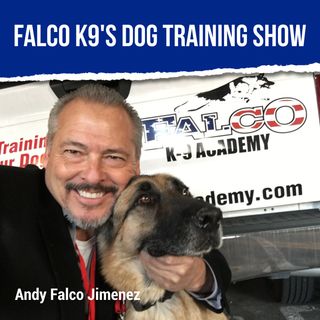 0023 Adoption of Military Dogs  Dog Scams and More FalcoK9Academy
