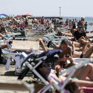 Litigate in Spiaggia