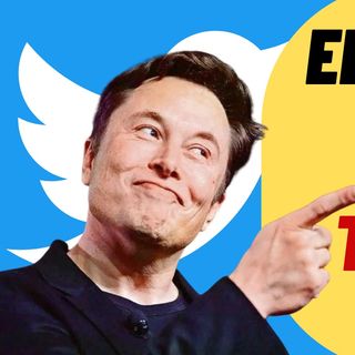 The Twitter Purge Has Begun!  Elon Fires Twitter Employees