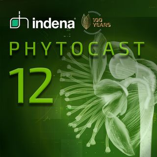 Phytocast 12: Uno sguardo al futuro
