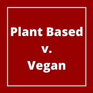 Difference Between Plant Based and Vegan: Our Guests Respond
