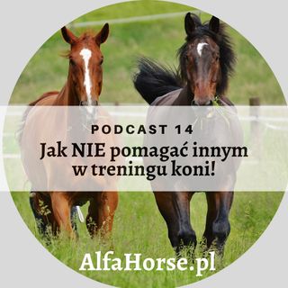 Podcast 14: Jak NIE pomagać innym w treningu koni!