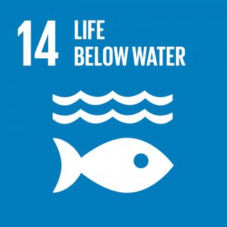 SDG 14 - Vita sott'acqua