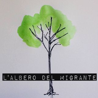 L'albero del migrante - un'iniziativa