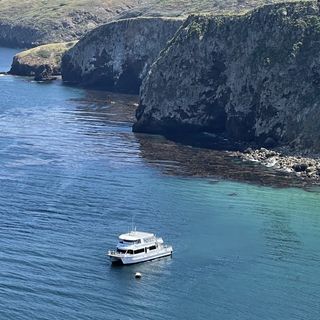Debbie Stone - Channel Islands National Park Adventure