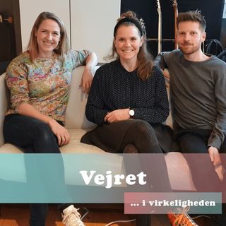 11. Vejret i virkeligheden