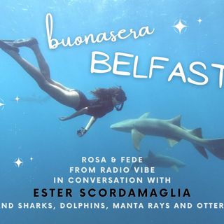 Buonasera, Belfast! #19 | Marine biology with Ester Scordamaglia