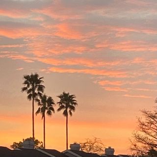 Episode 452 - Jo’s Place