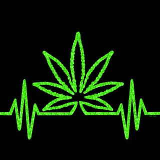 La cannabis legale