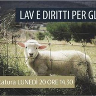 SPECIALE - LAV E DIRITTI DEGLI ANIMALI 20 Marzo 2017 - LIVE #Diretta