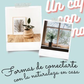 06. Formas de conectarnos con la naturaleza desde casa