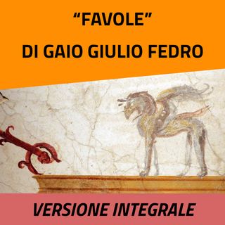 Libro quinto