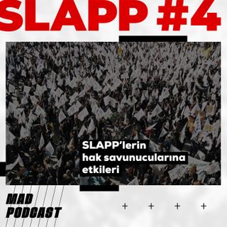 SLAPP #4: SLAPP'lerin Hak Savunucularına Etkileri