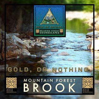 Mountain Forest Brook | 1 Hour Forest Ambience | White Noise | Relax | Meditate | Sleep Instantly