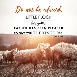 Episode 3- Luke 12:32 Do Not Be Afraid Anymore