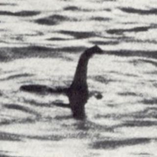 Why The Loch Ness Monster Is A Myth