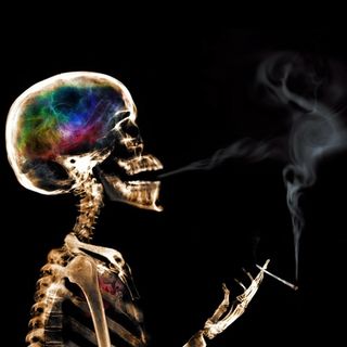 Drug Truth Network - 10-04-19