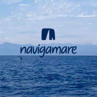 Navigamare