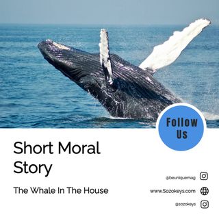 Audio Blog Number 7: Short Nocturnal Moral Story " The Whale in my House"