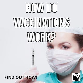 How To Vaccines Work?